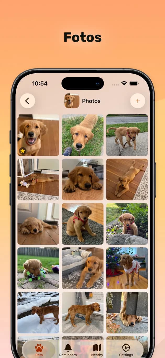 PetFetch app screenshot 03