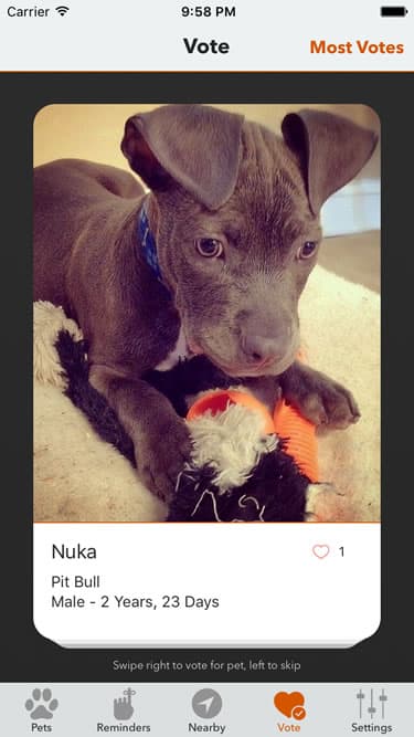 PetFetch app screenshot 11