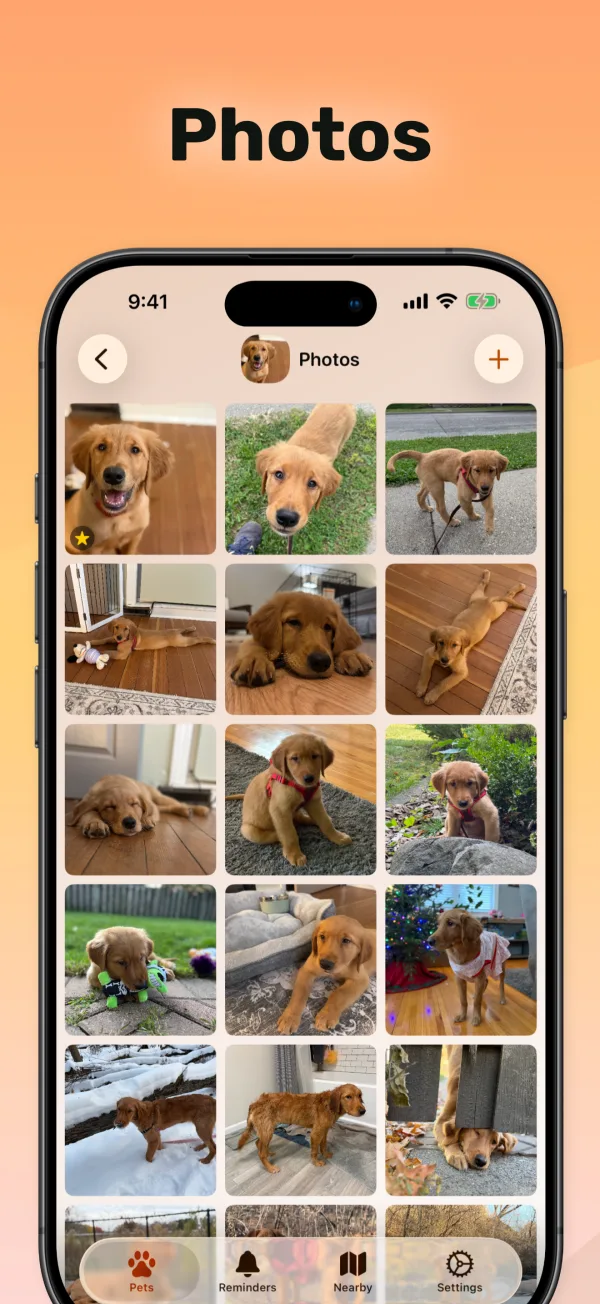 PetFetch app screenshot 03