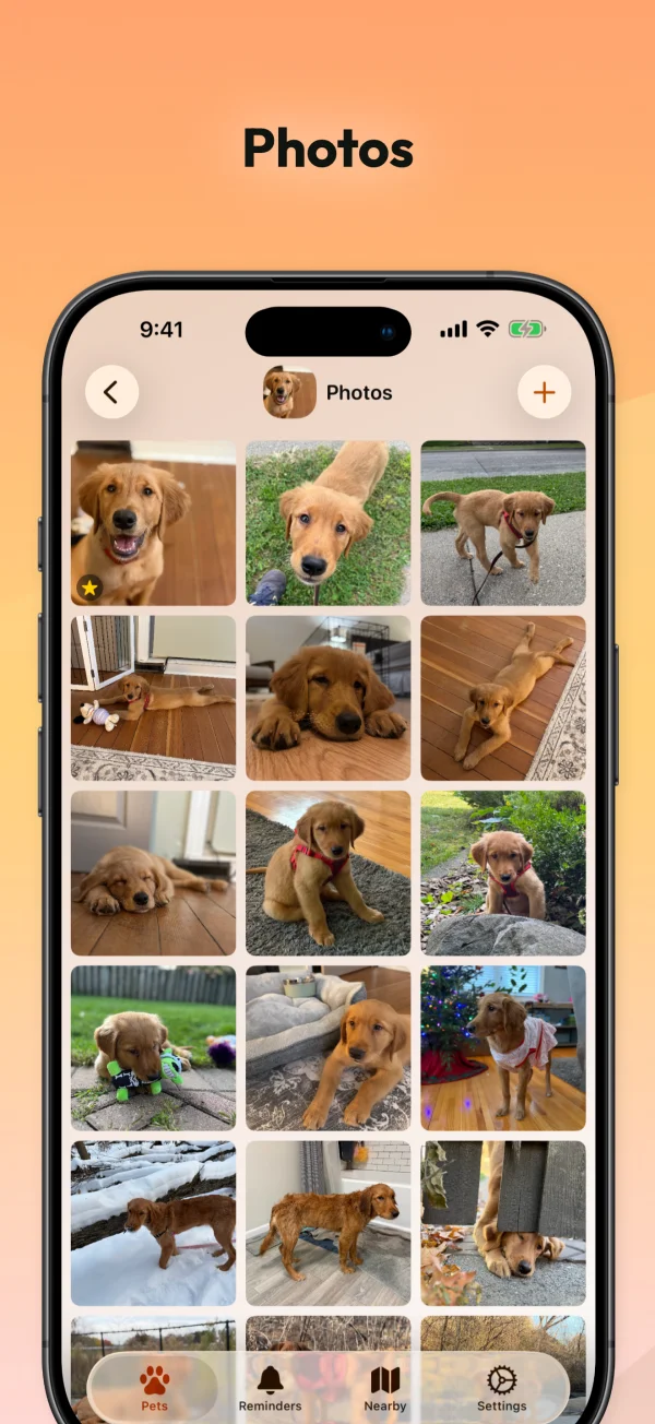 PetFetch app screenshot 03